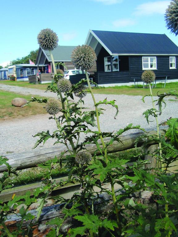 Toftum Bjerge Camping & Cottages Humlum Ruang foto